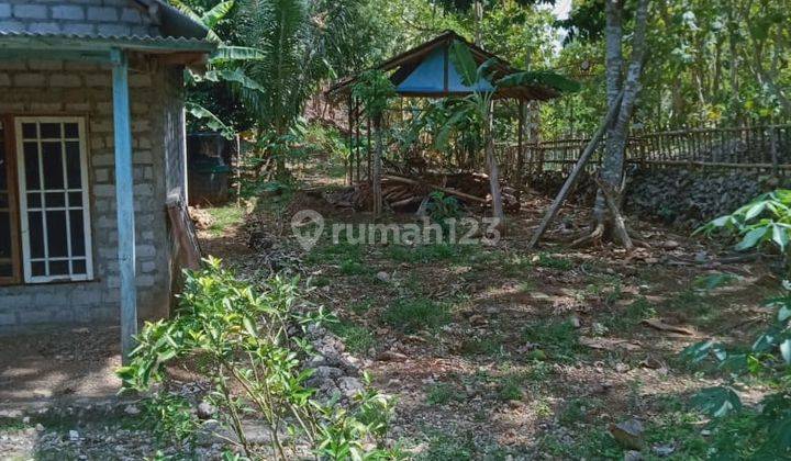 Tanah rata cocok untuk tempat pemukiman nan asri, di Wonosari. 2