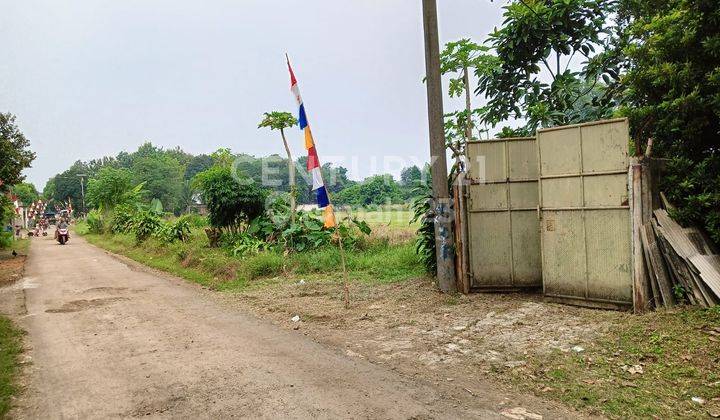 Tanah Murah Lokasi Strategis Antara Std Krl Parung Dan Cisauk Rumah