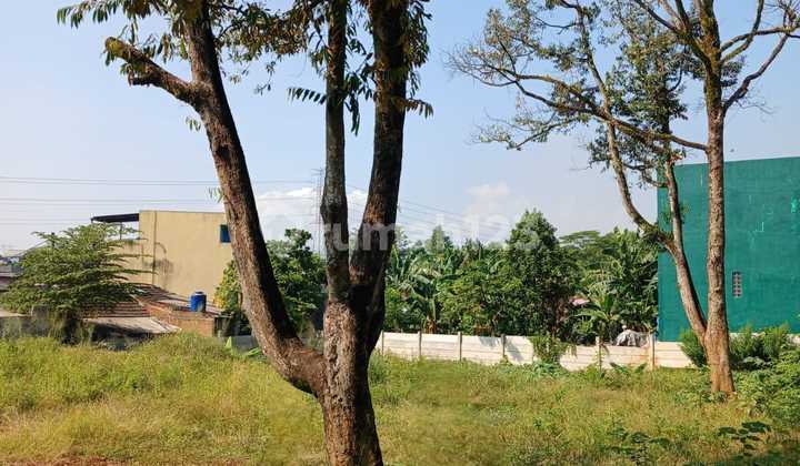 Tanah Di Daerah Cikeas Gunung Putri Jawa Barat 2