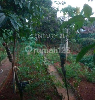 Rumah Dengan Halaman Kebun Dalam Cluster Di Cibubur 2