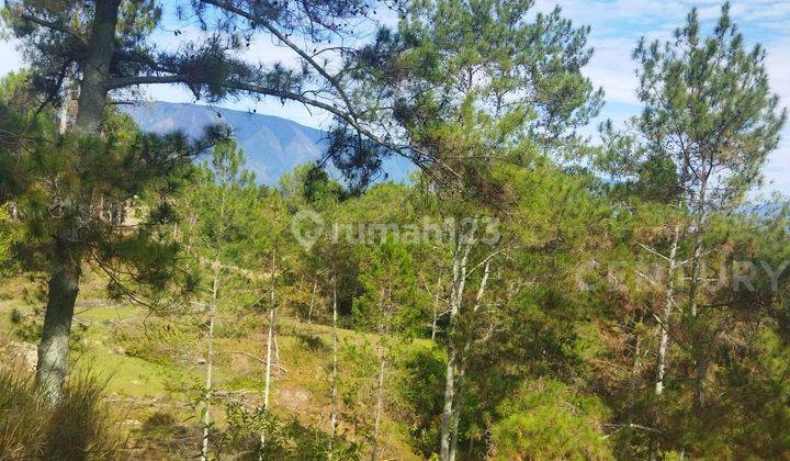 Tanah Luas Di Pasir Putih Parbaba, Danau Toba 1