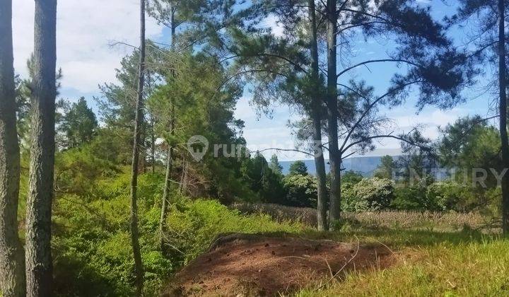 Tanah Luas Di Pasir Putih Parbaba, Danau Toba 2