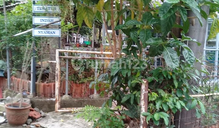 Rumah One Gate System Di Pondok Kopi, Jakarta Timur 2