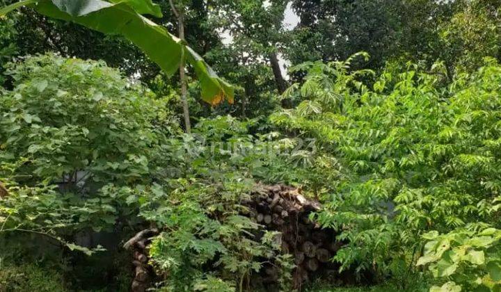 Dijual Tanah Kebun Cimuning Luas Di Mustikajaya, Bekasi 2