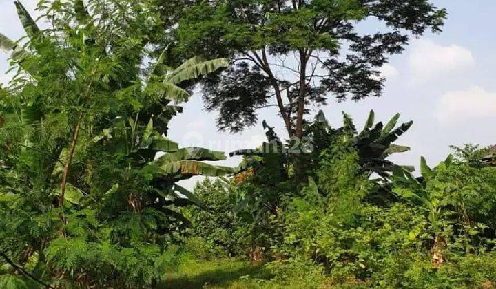 Dijual Tanah Kebun Cimuning Luas Di Mustikajaya, Bekasi 1