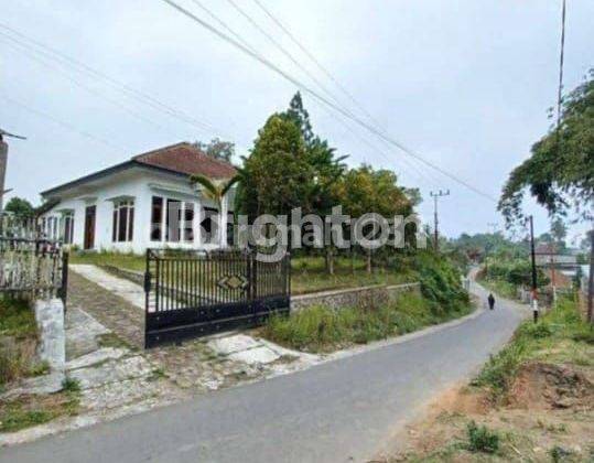 Rumah cocok untuk villa 1  jalur arah pendakian Bromo 1