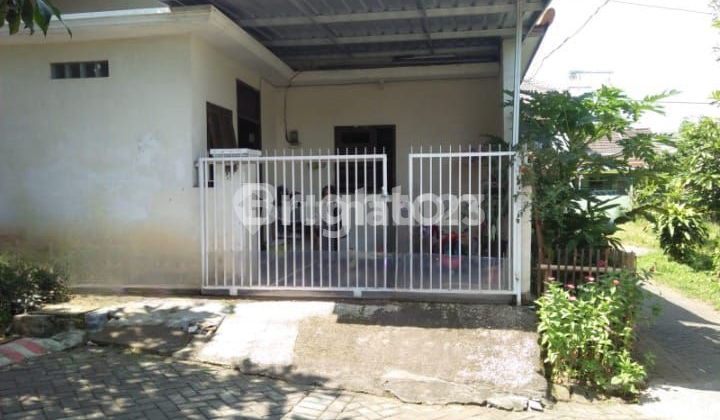 House near Pakis Toll Exit, Malang.