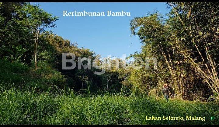 LAHAN PREMIUM & STRATEGIS dekat WADUK SELOREJO 1