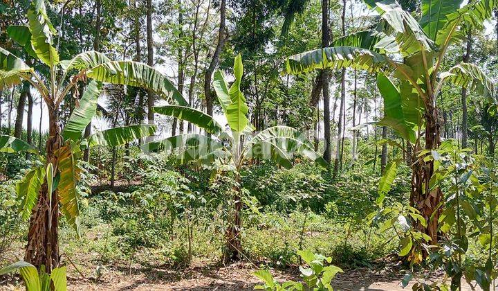 TANAH KAVLING KEDOK VILLAGE di TUREN 1