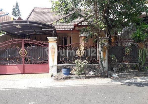 Rumah 1 Lantai Di Polehan
