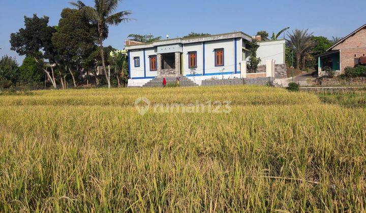 Tanah SHM Lokasi Strategis di Karangmalang, Mijen, Semarang 1