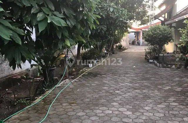 Rumah Bagus SHM di Bintaran Wetan, Yogyakarta 2