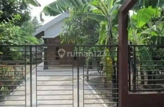 Disewakan Rumah Asri Dan Nyaman Suasana Pedesaan Di Jl Godean 2