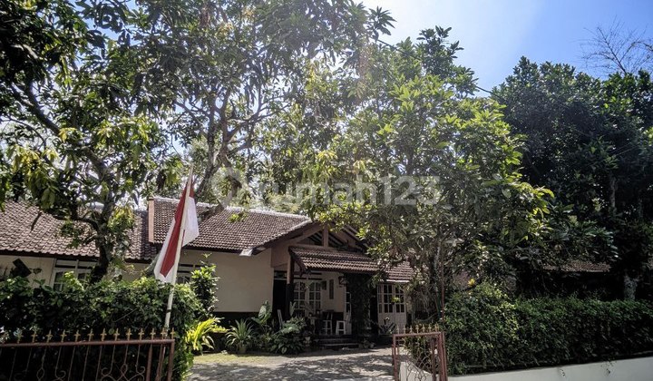 Quick Sale Large House Location Behind PPPG Kesenian 2