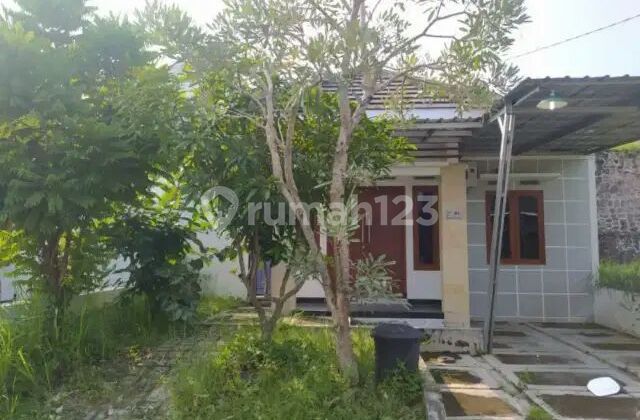 House for Rent in Balecatur Gamping
