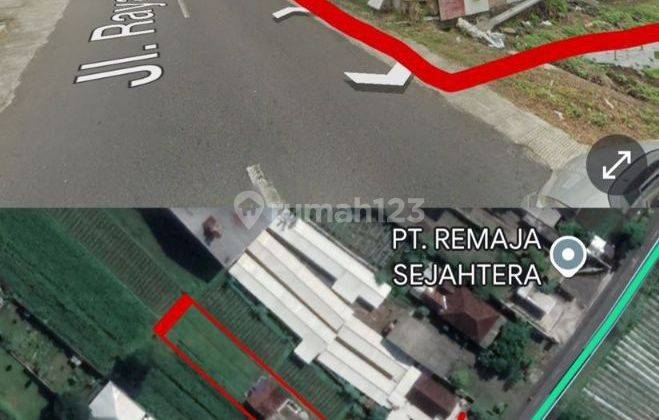 Dijual Tanah SHM Sawah Lokasi Caturharjo, Sleman  1