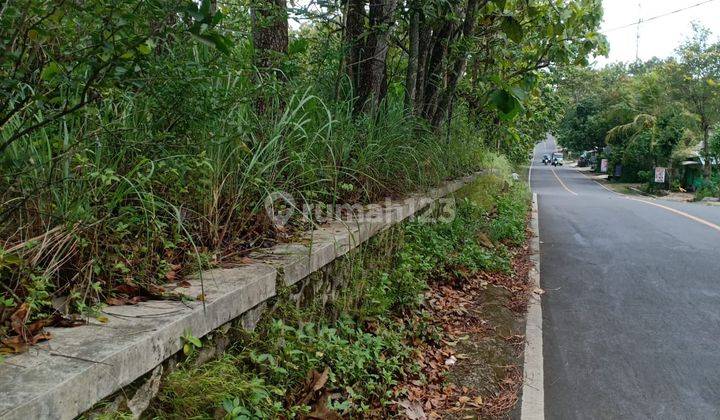 Tanah Luas 7822 Meter Persegi Lokasi Strategis Jl Nasional Gunung Kidul 2