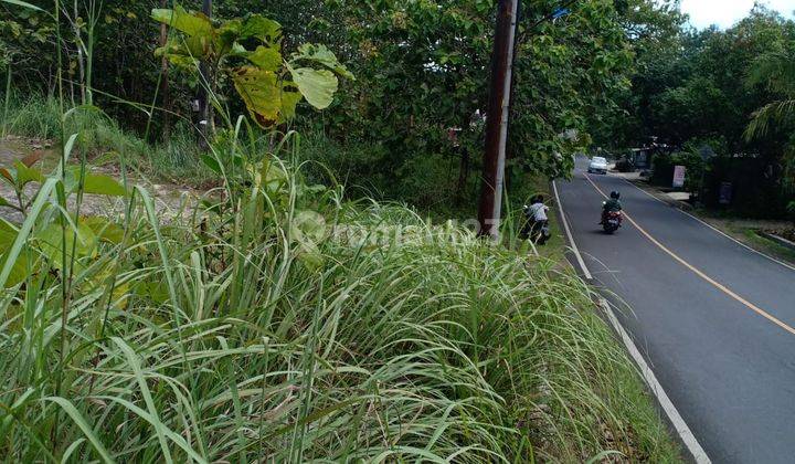 Tanah Luas 7822 Meter Persegi Lokasi Strategis Jl Nasional Gunung Kidul 1