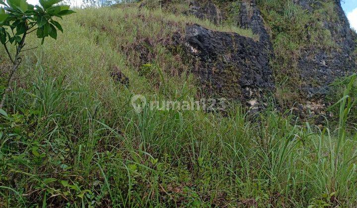 Tanah Luas 12.320 Meter Persegi Lokasi Gunung Krambil Ponjong Gunung Kidul 1