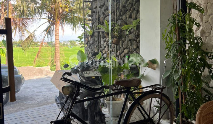 Investasi Premium Villa Furnishe 5 Kamar Tidur & Kolam Renang di Lokasi Donotirto, Kasihan.