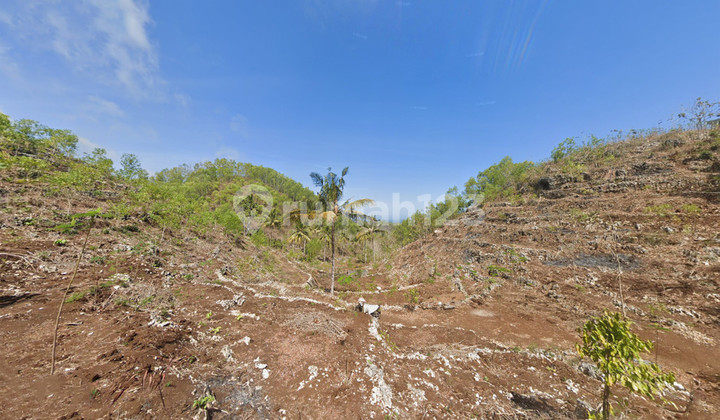 Dijual Tanah Luas 32.420 Meter Persegi Lokasi Dekat Pantai Butuh, Saptosari, Gunung kidul Dijual Tanah Luas 32.420 Meter Persegi Lokasi Dekat Pantai Butuh, Saptosari, Gunung kidul