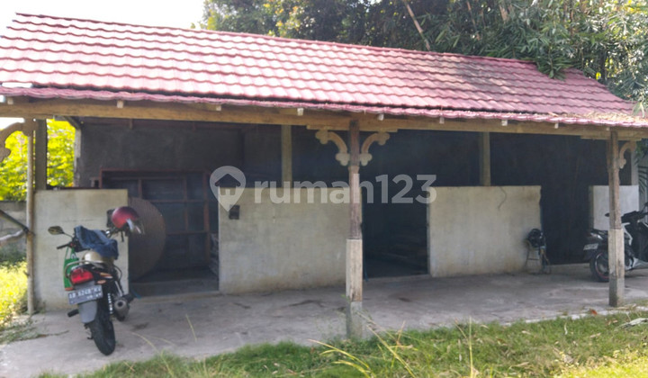 Investment in Joglo Homestay & Horse Stable Location Near Parangtritis Road 2
