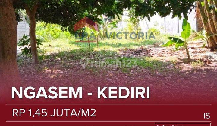 Jual Tanah Dekat Smpn 1 Ngasem Dan Pusat Oleh-Oleh Kediri