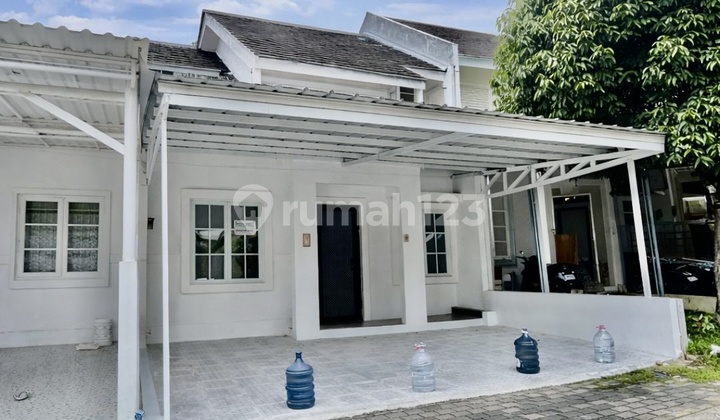 Bring the Suitcase Straight Away Bring the Suitcase Straight Away