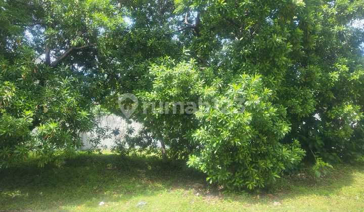For Rent Land in Tourist City Land in Tourist City SHM 300.0 m²