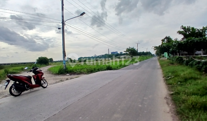 Dijual Lahan Babelan 1.3 Juta Nego Dijual Lahan Babelan 1.3 Juta Nego