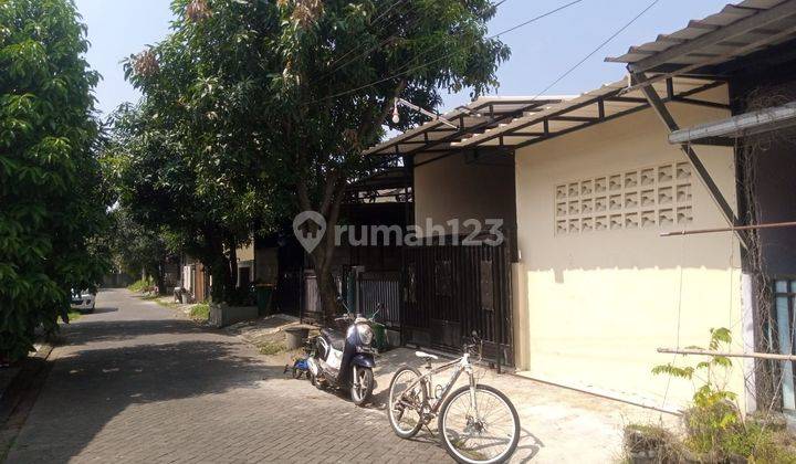 Jual Rumah Termurah Di Cluster Ivory Bekasi Timur 2