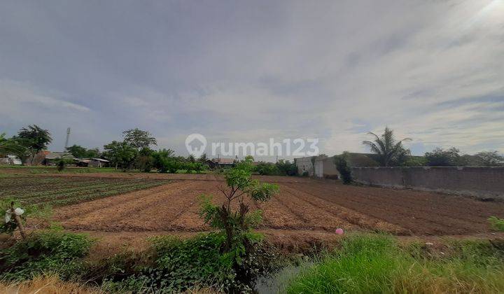 Jual Tanah Darat Super Murah Cocok Untuk Buat Cluster 2