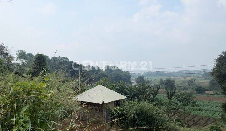 Tanah Luas Bisa Untuk Gudang,Cafe ..Rumah Kebun Dll 2