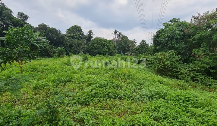 Disewa Tanah 1 Hektar Gandul Cinere Depok Dekat Tol Brigif Dan Cinere Mall Disewa Tanah 1 Hektar Gandul Cinere Depok Dekat Tol Brigif Dan Cinere Mall