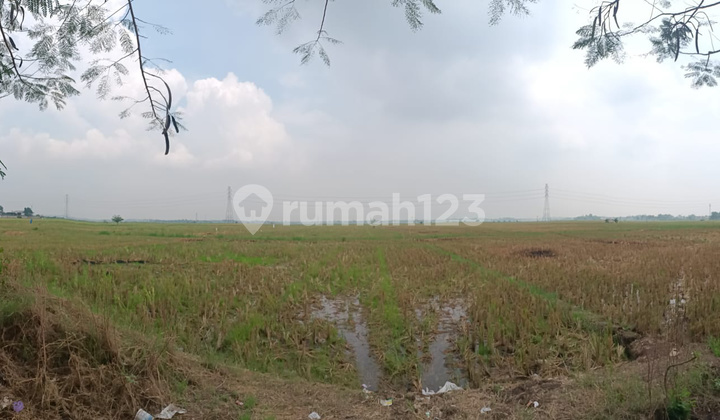 Land 15 Hectares Kepuh West Karawang