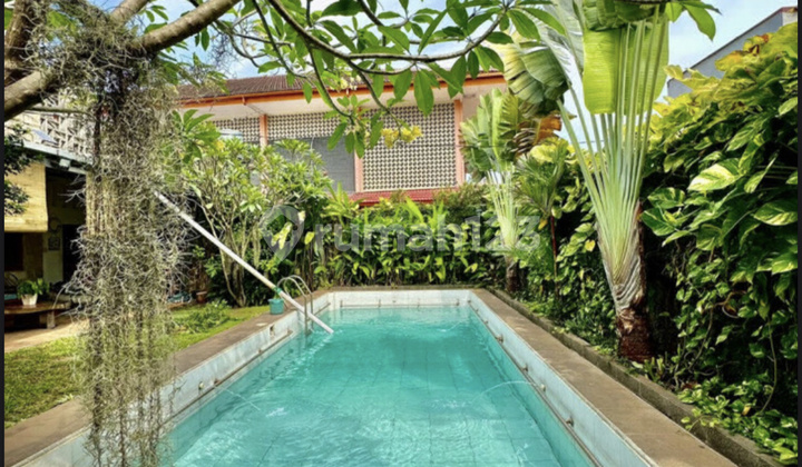 Rumah Tropis Cantik Kolam Renang Cilandak Lebak Bulus 9.6 M Nego  2
