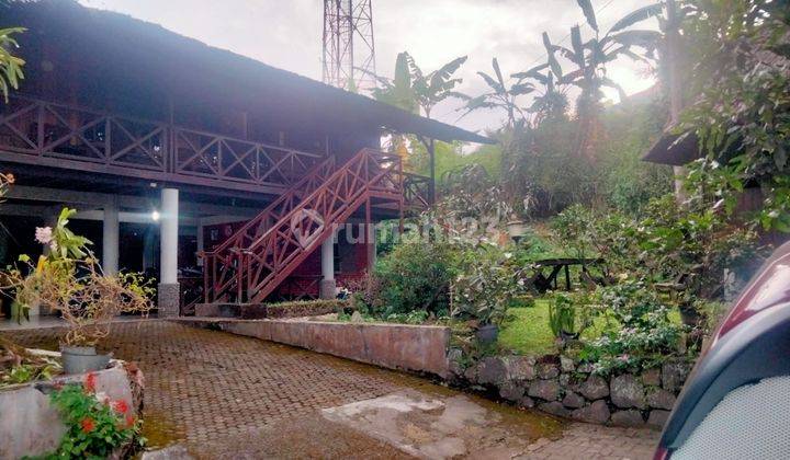 Rumah Villa Eksotik Dan Elegan Model Panggung Terbuat Dari Kayu Ulin di Komplek Perumahan Green Apple Cipanas Puncak Cianjur 2