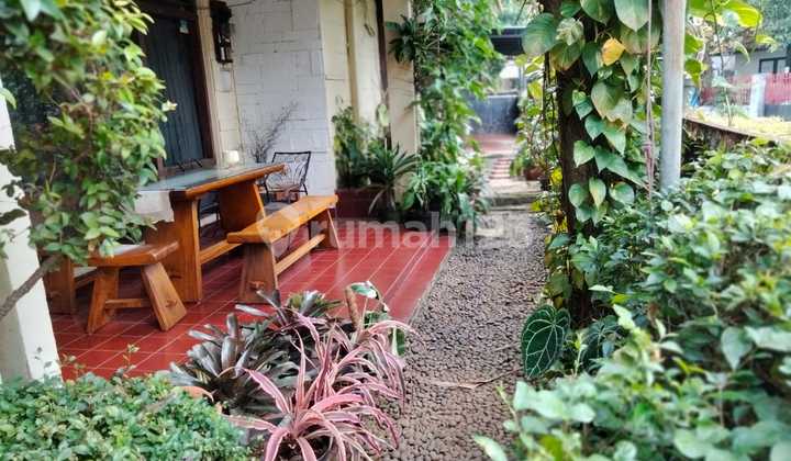 Rumah Asri dikawasan Pemukiman Elite dan Tenang di Tebet Jakarta Selatan sangat cocok buat tempat tinggal Rumah Asri dikawasan Pemukiman Elite dan Tenang di Tebet Jakarta Selatan sangat cocok buat tempat tinggal