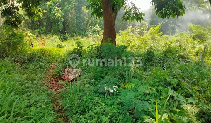 Tanah Kavling Siap Bangun di Kawasan Pusat Bisnis Kebagusan Dekat Jl. Tb Simatupang Jakarta Selatan Tanah Kavling Siap Bangun di Kawasan Pusat Bisnis Kebagusan Dekat Jl. Tb Simatupang Jakarta Selatan
