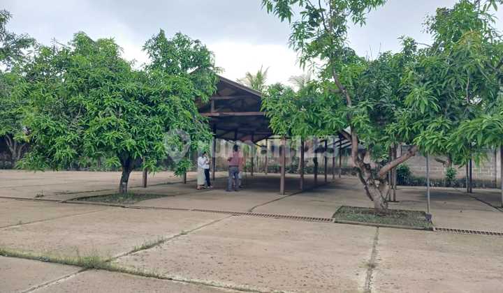 Land Plot in Front of Gunadarma Campus and Near Margocity Mall Suitable for Exclusive Boarding Houses Land Plot in Front of Gunadarma Campus and Near Margocity Mall Suitable for Exclusive Boarding Houses