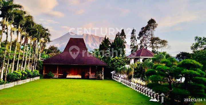 Villa Perpaduan Jawa Jepang di Megamendung