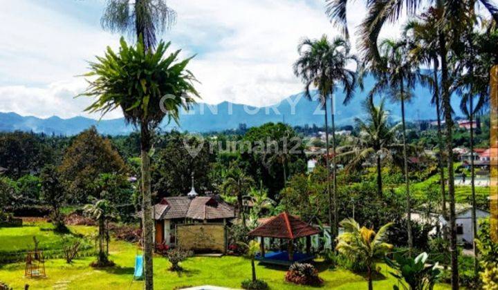 RESORT HOTEL VIEW GUNUNG GEDE PANGRANGO DI MEGAMENDUNG BOGOR 2