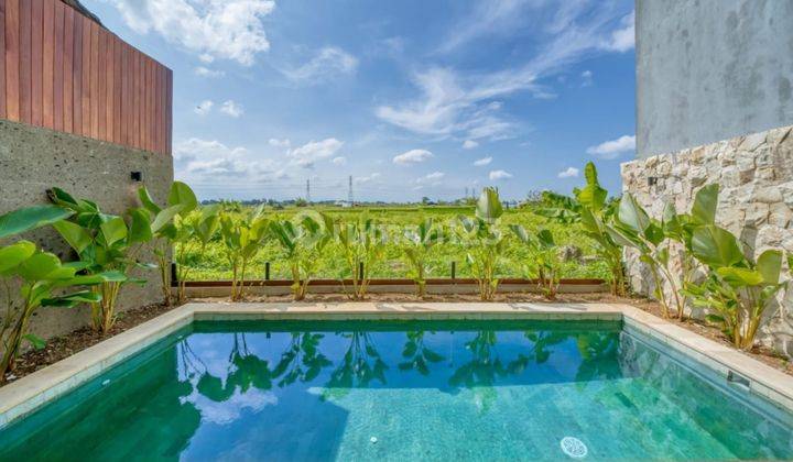 Yearly Rental Ricefield View Villa In Tumbak Bayuh Canggu 2