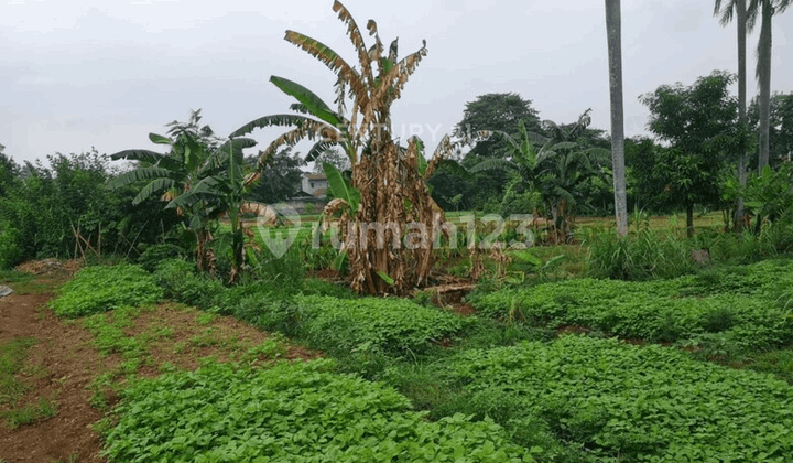 Dijual Tanah Komersil 50 di Bawah NJOP di Tb Simatupang