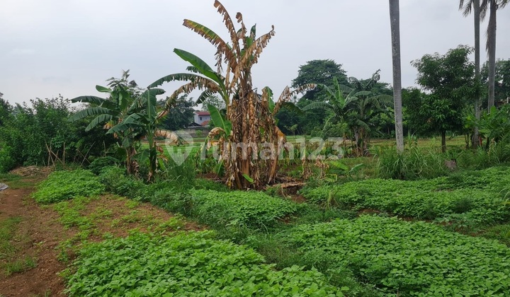 Tanah Komersil 50% Dibawah Harga NJOP di Tb Simatupang Tanah Komersil 50% Dibawah Harga NJOP di Tb Simatupang