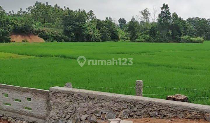 Tanah pinggir Jl Parung panjang ke Podomoro Tenjo Tangerang Luas 1007m2 2