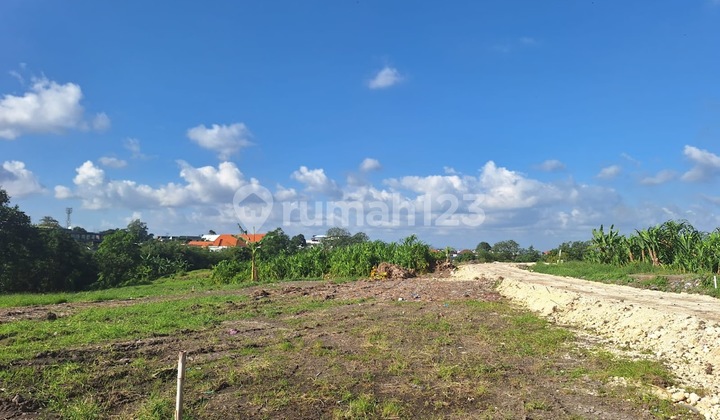 Premium & Strategic Freehold Land Plot SHM Canggu - Bali Premium & Strategic Freehold Land Plot SHM Canggu - Bali