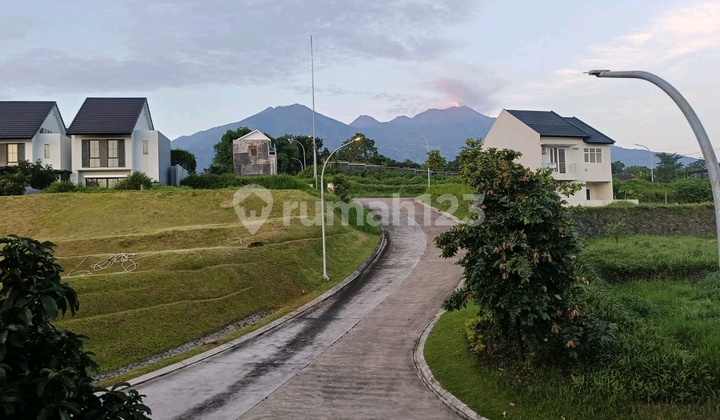 The Saguara Resort 2