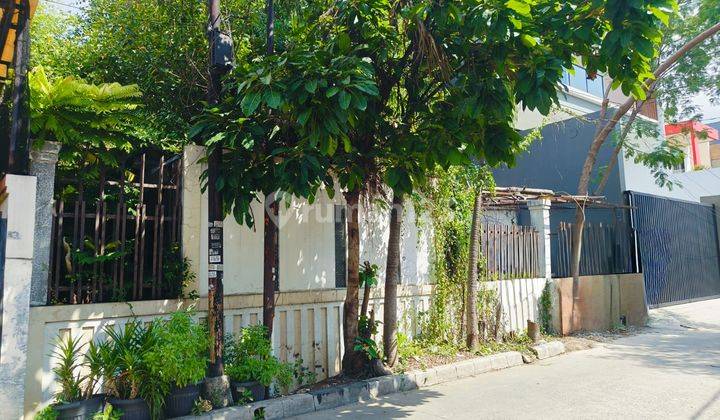 Rumah Tua Hitung Tanah Luas 264m2 Dalam Komplek Green Ville 2