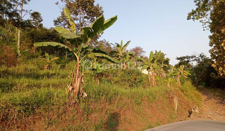 Tanah View Perkotaan Daerah Cimenyan Bandung 1